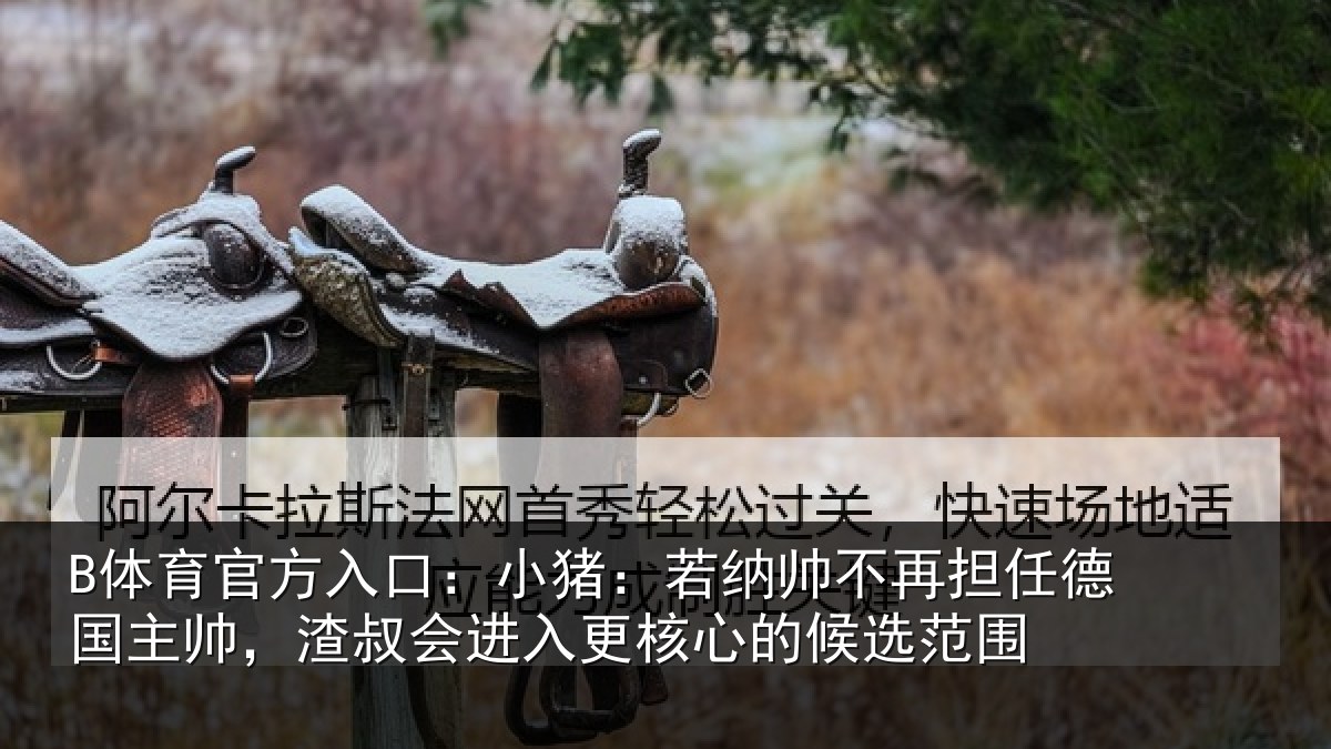 B体育官方入口:小猪:若纳帅不再担任德国主帅,渣叔会进入更核心的候选范围
