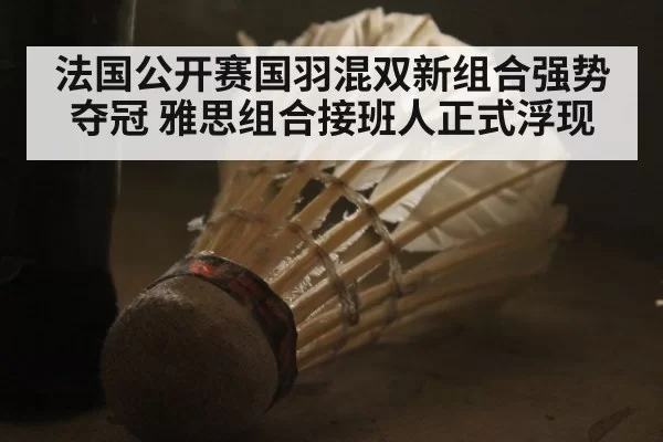 法国公开赛国羽混双新组合强势夺冠 雅思组合接班人正式浮现